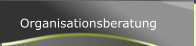 Organisationsberatung